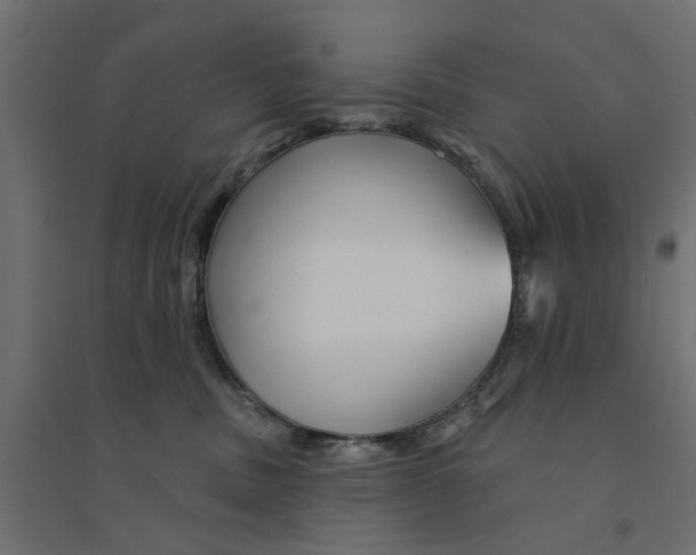 X0000094330379200711241834