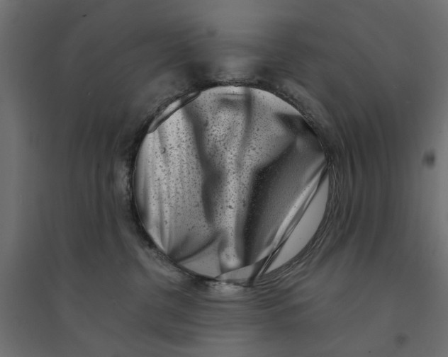 X0000094330380200711241834