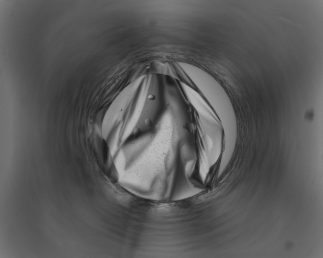 X0000094330382200711241834