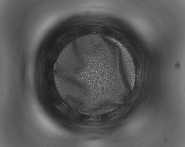 X0000094330383200711241834