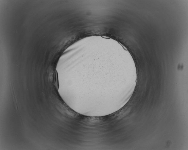 X0000094330384200711241835