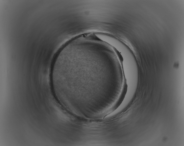 X0000094330387200711241834