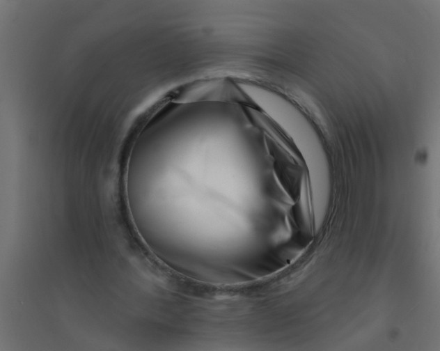 X0000094330388200711241834