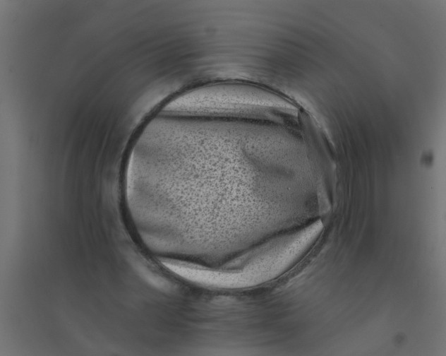 X0000094330390200711241834