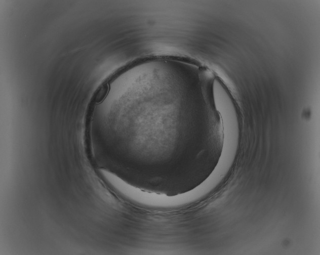 X0000094330391200711241834