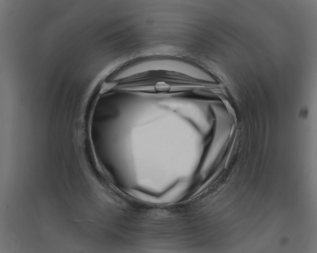 X0000094330392200711241834