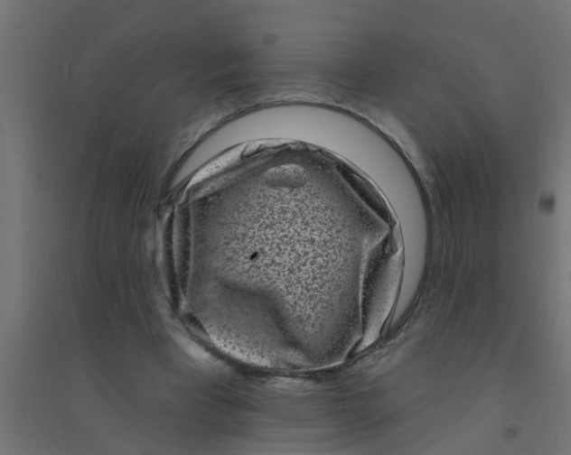 X0000094330393200711241834