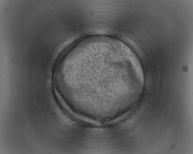 X0000094330394200711241834