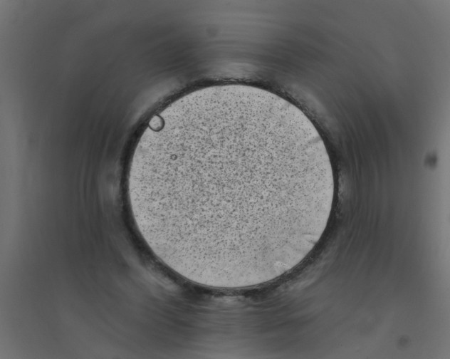 X0000094330396200711241834