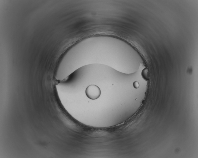 X0000094330397200711241834