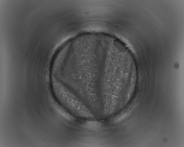 X0000094330399200711241834