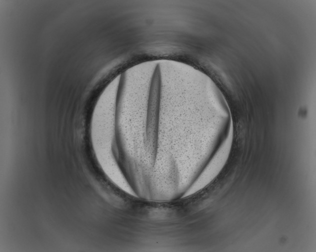 X0000094330400200711241834