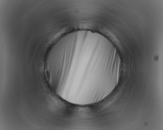 X0000094330401200711241834