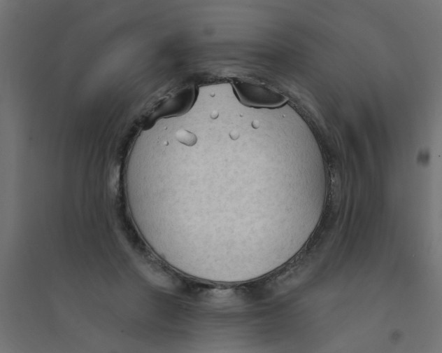 X0000094330406200711241834