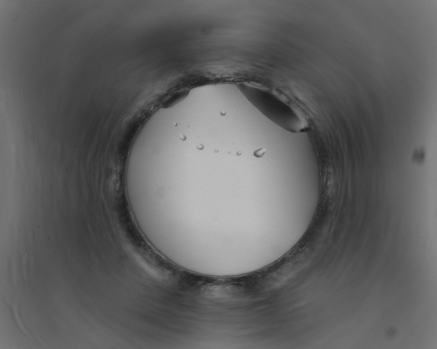 X0000094330408200711241834