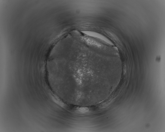 X0000094330409200711241834