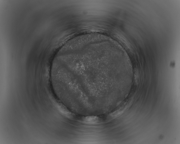 X0000094330410200711241833