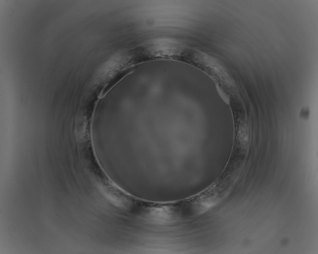 X0000094330411200711241833