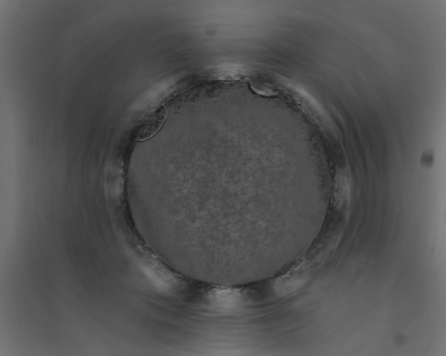 X0000094330413200711241833