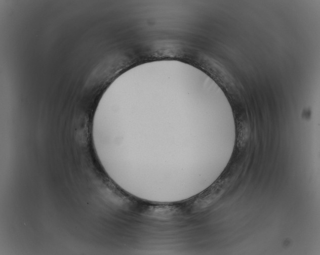 X0000094330414200711241833