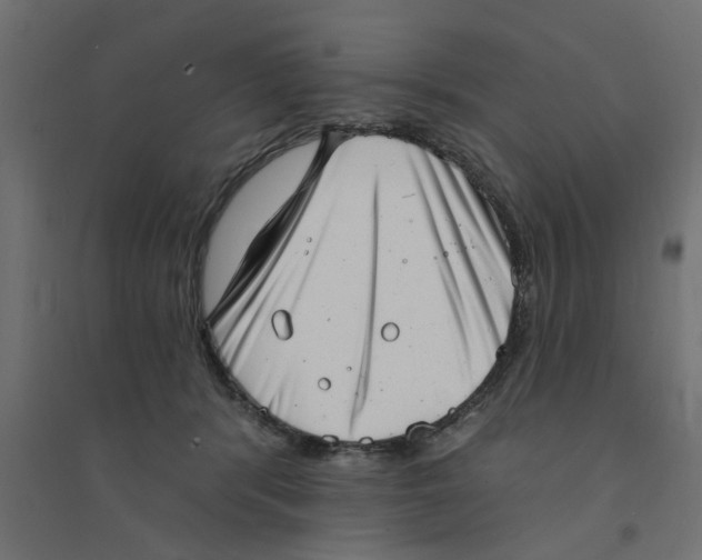 X0000094330416200711241833