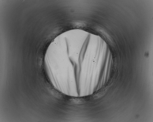 X0000094330417200711241833