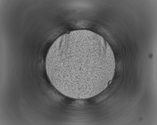 X0000094330418200711241833