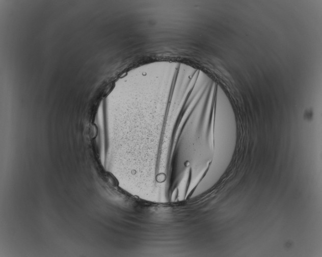 X0000094330419200711241833