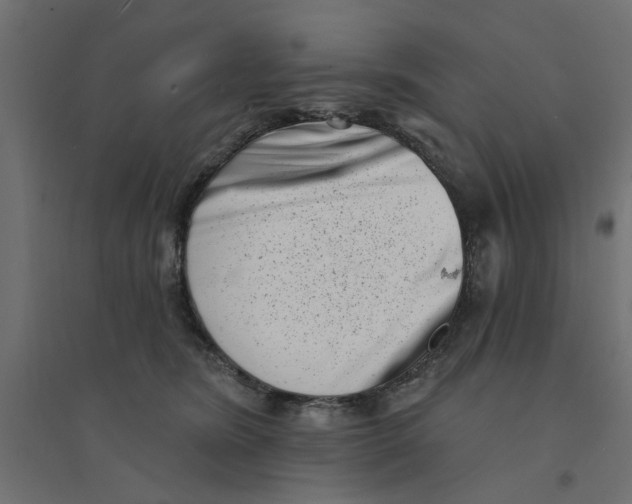 X0000094330420200711241833