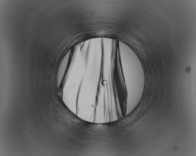 X0000094330421200711241833