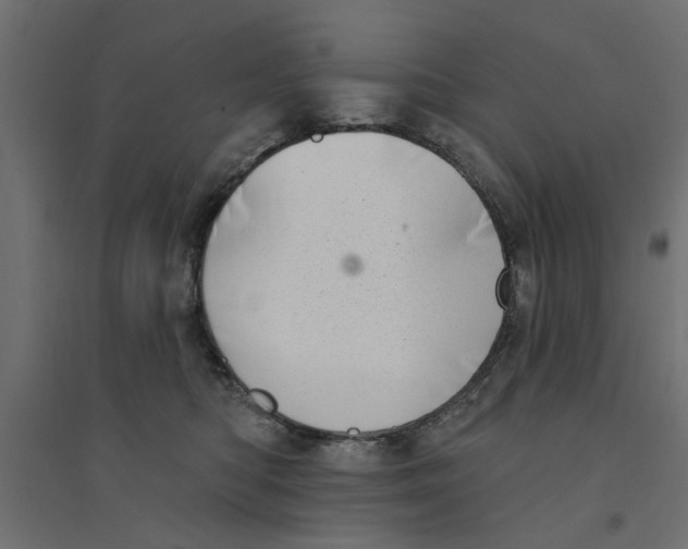 X0000094330422200711241833