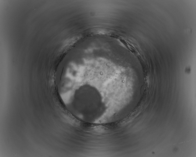 X0000094330423200711241833