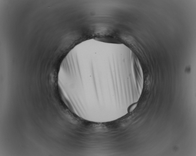 X0000094330424200711241833