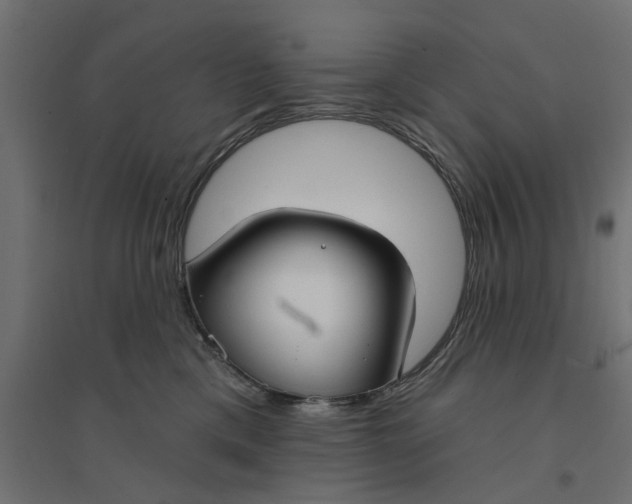 X0000094330425200711241833