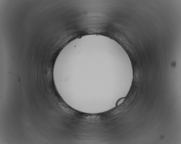 X0000094330426200711241833