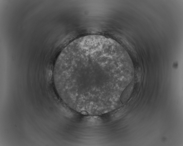 X0000094330427200711241833