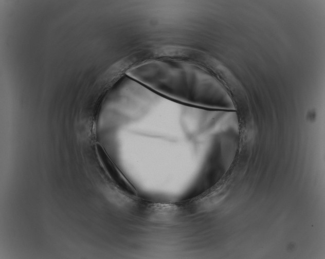 X0000094330429200711241833