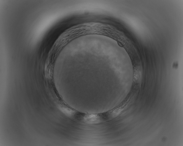 X0000094330431200711241833