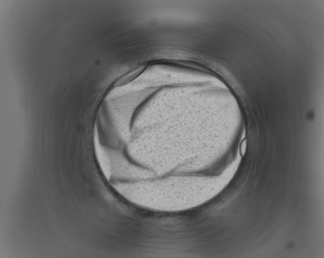 X0000094330433200711241833