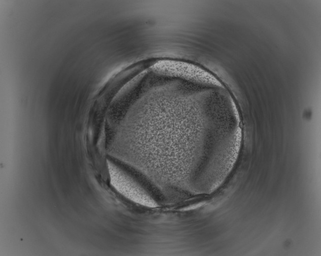 X0000094330434200711241833