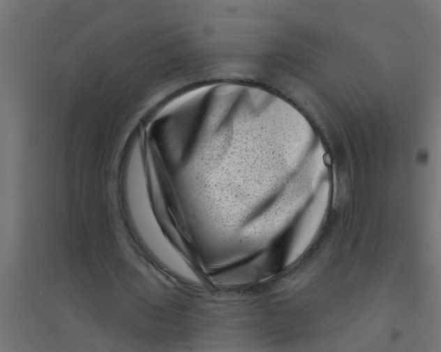 X0000094330435200711241833