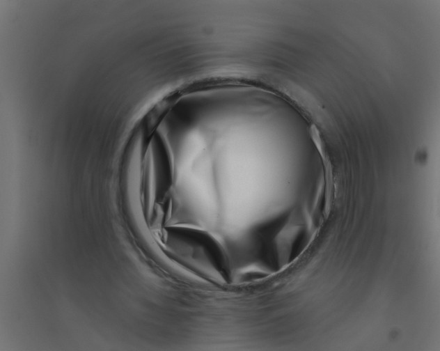 X0000094330436200711241833