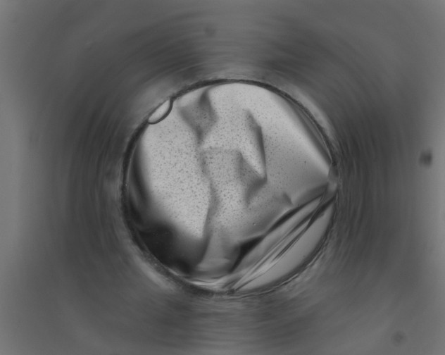 X0000094330437200711241833