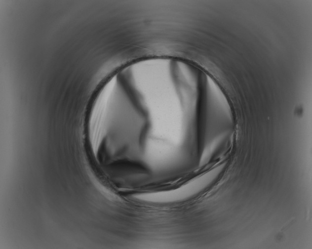 X0000094330438200711241833