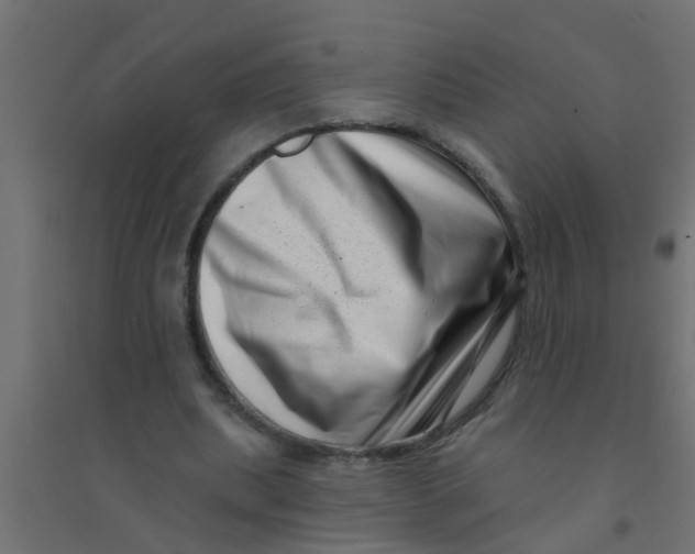 X0000094330439200711241833