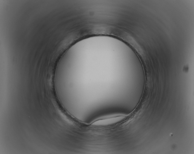 X0000094330441200711241833