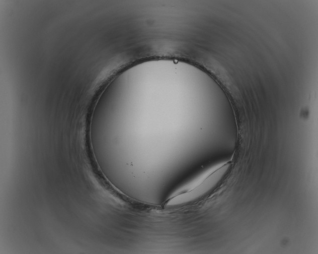 X0000094330442200711241833