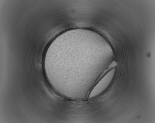 X0000094330443200711241833