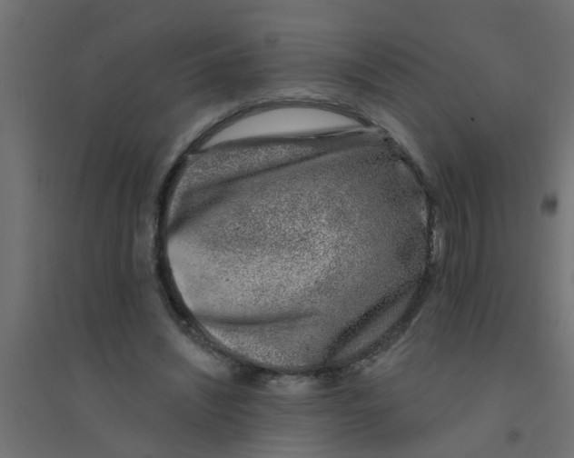 X0000094330444200711241833