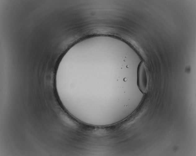 X0000094330445200711241833